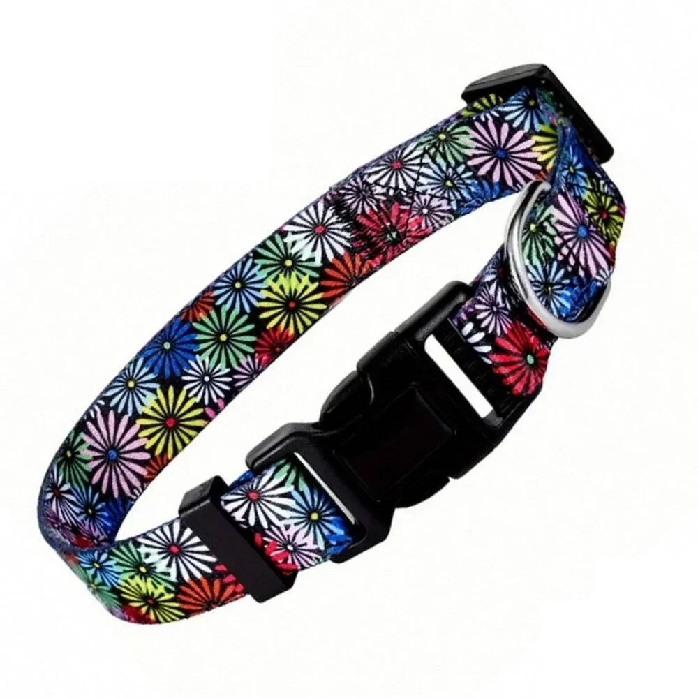Maisette Multicolor Flowers Breakaway D Ring Dog Collar Size Large Gift Packaged